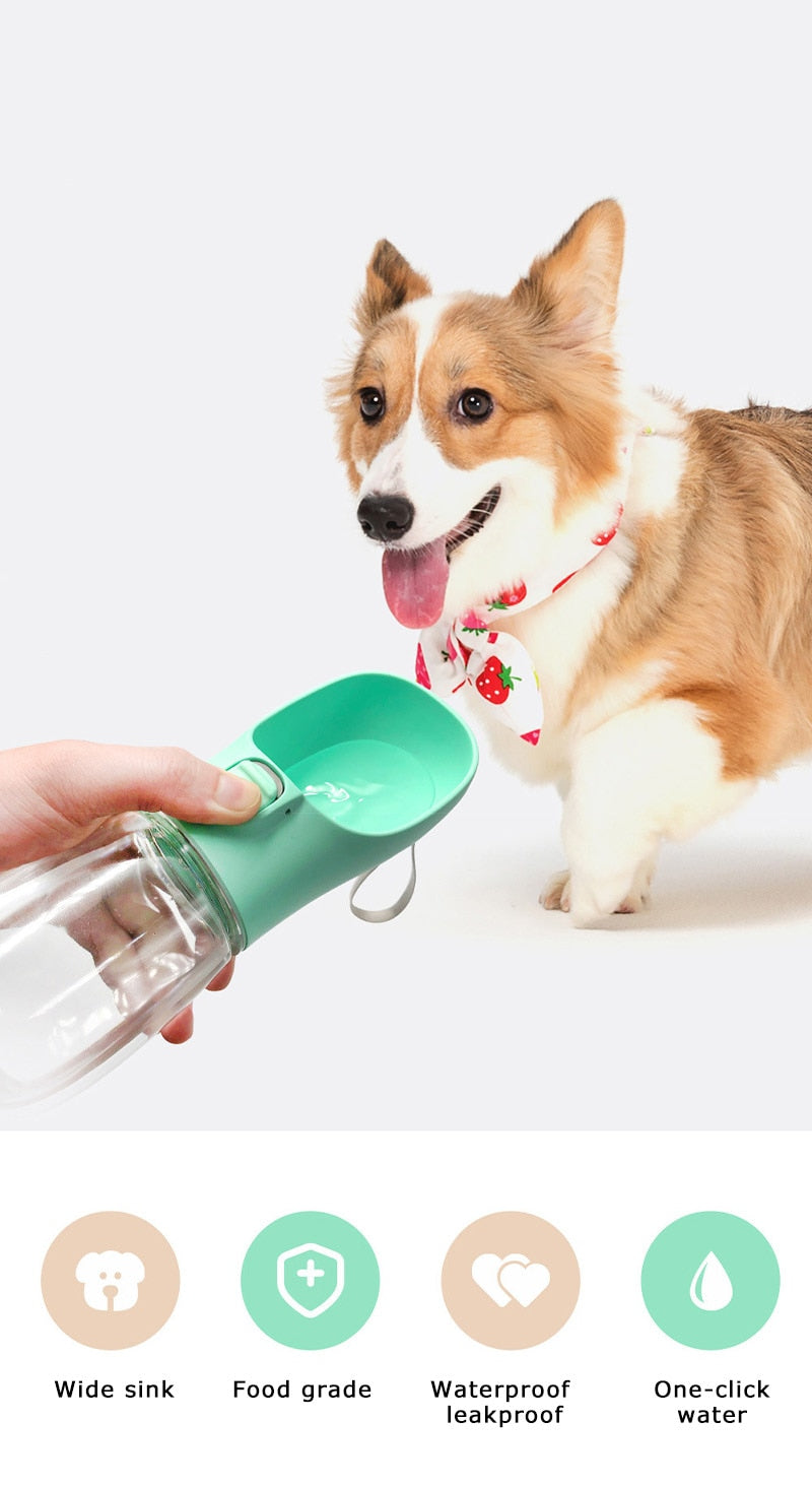 Dog Water Bottle